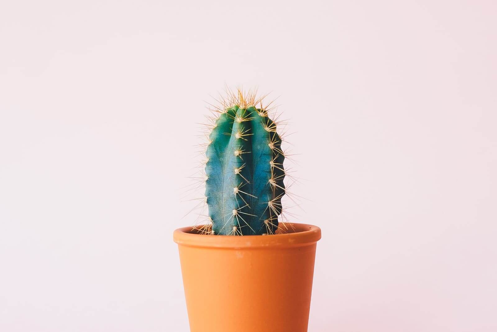 Odoo- Echantillon n° 3 pour trois colonnes