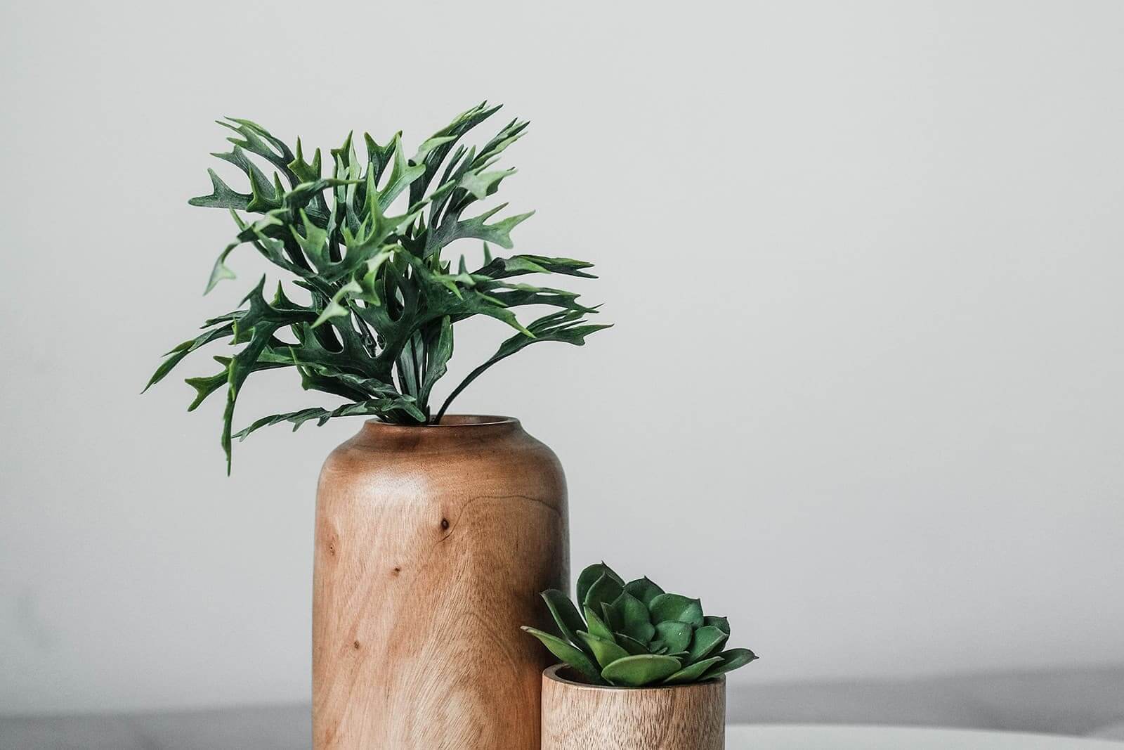 Odoo- Echantillon n° 2 pour trois colonnes